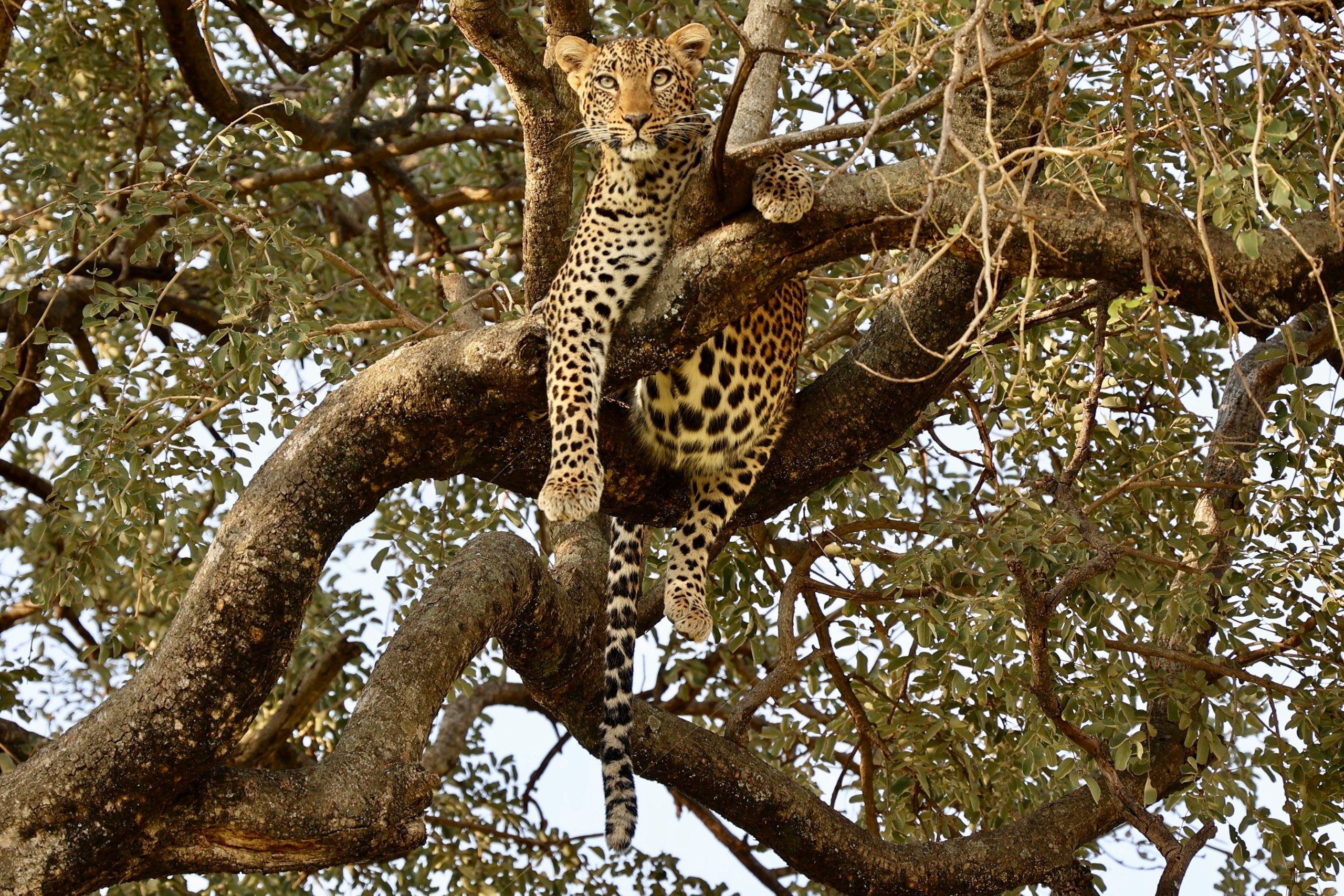 Tarangire & Crater Taster safari in Tanzania