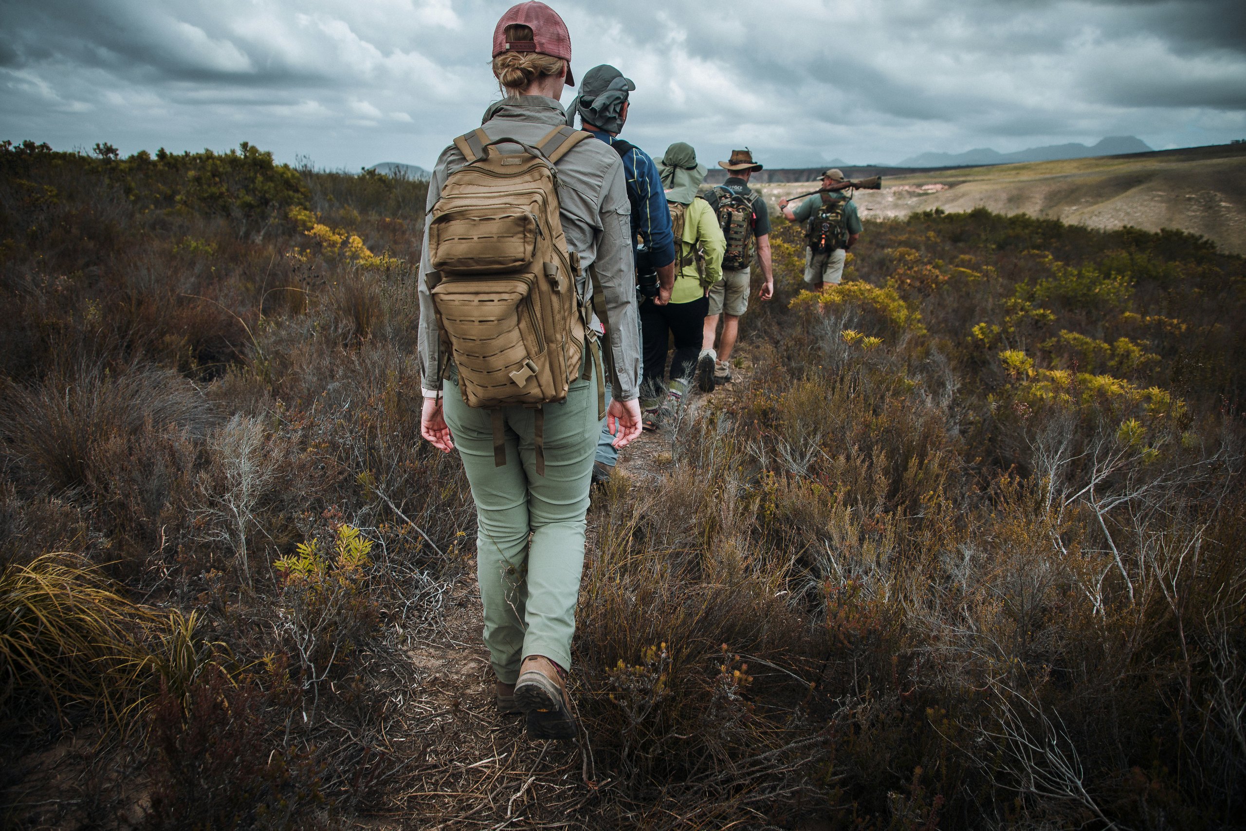 Walkers following a ridge through open highland country