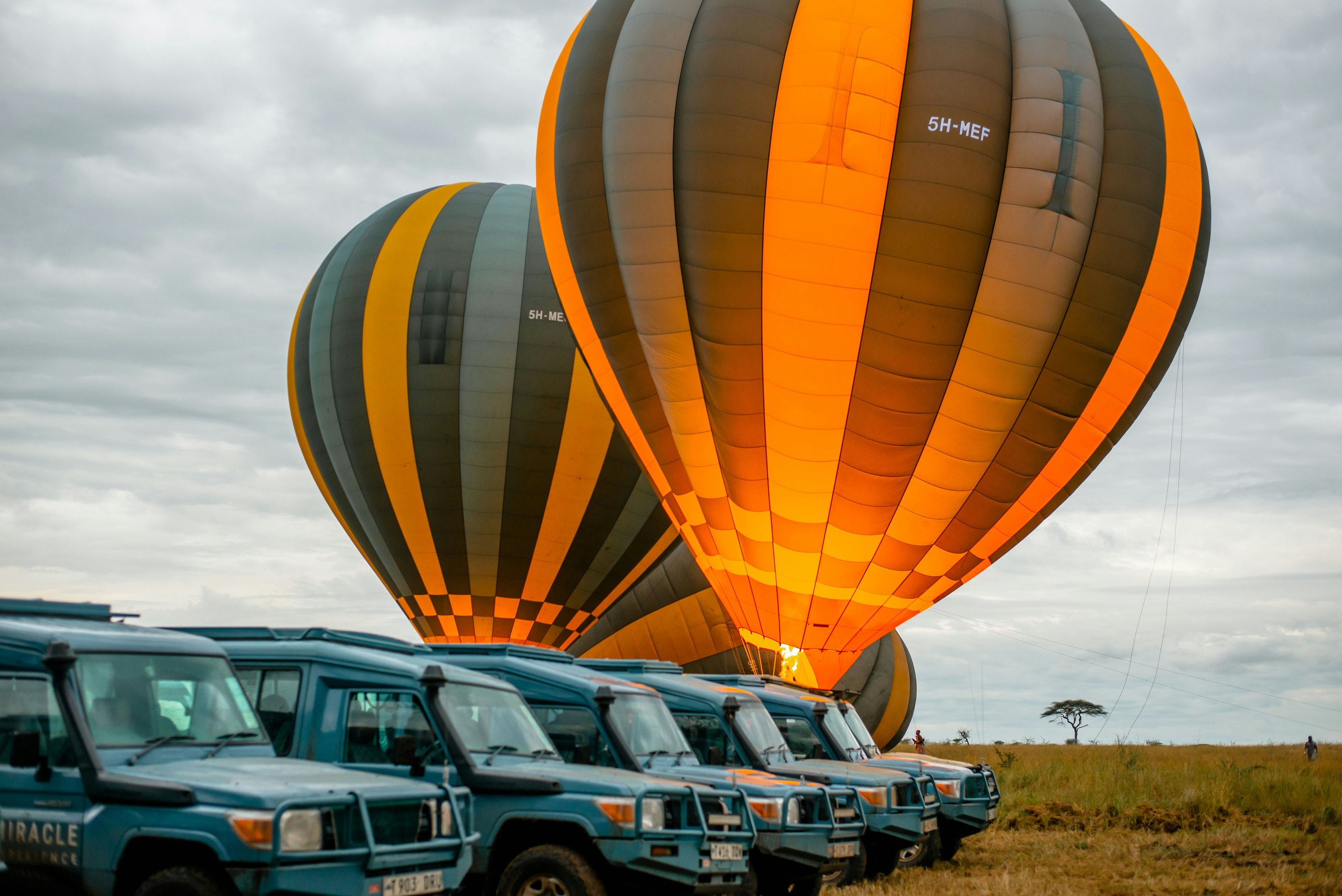 Hot air balloons and safari vehicles on the Serengeti at sunrise