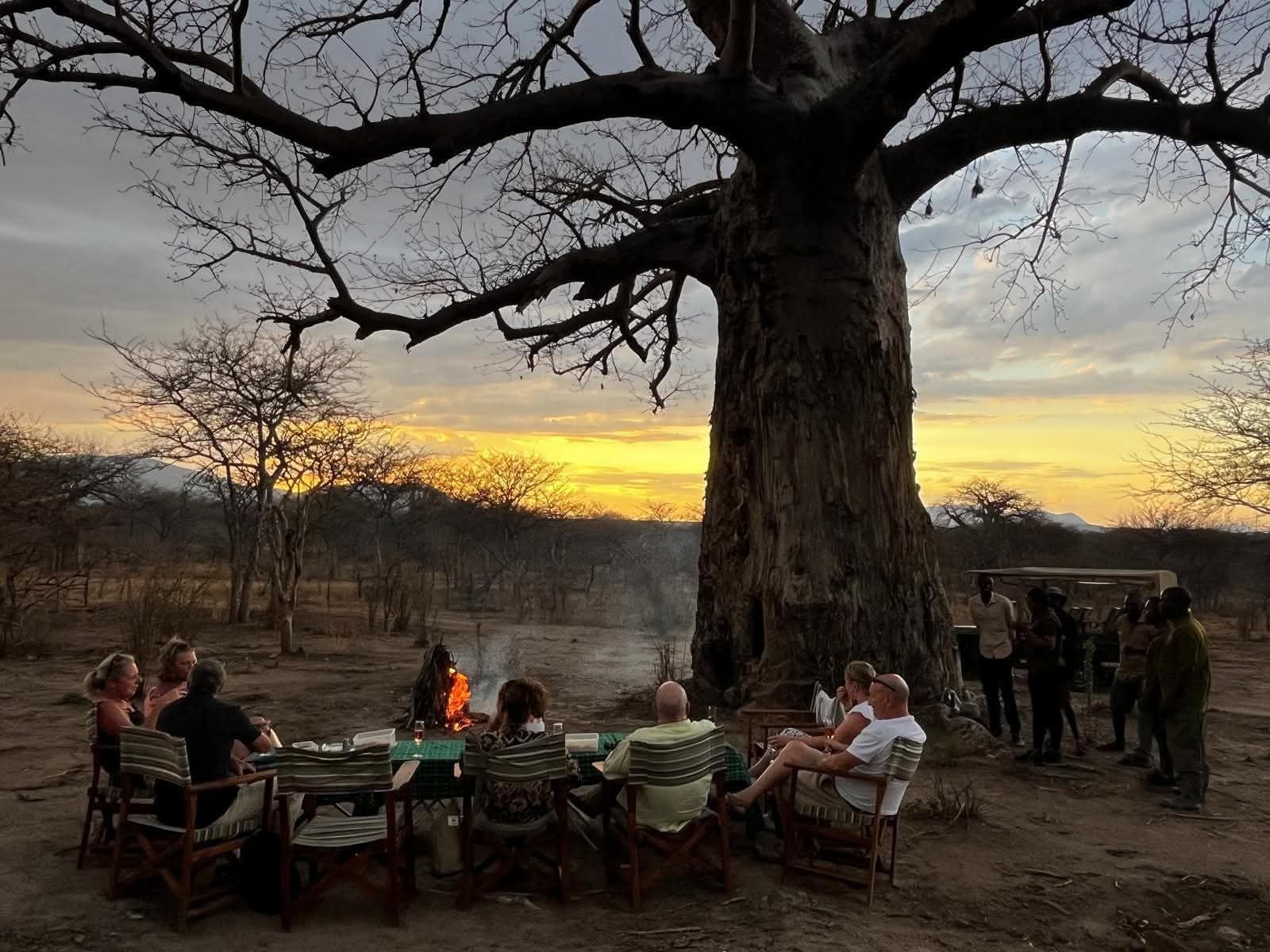 Golden hour over the Tanzanian savanna